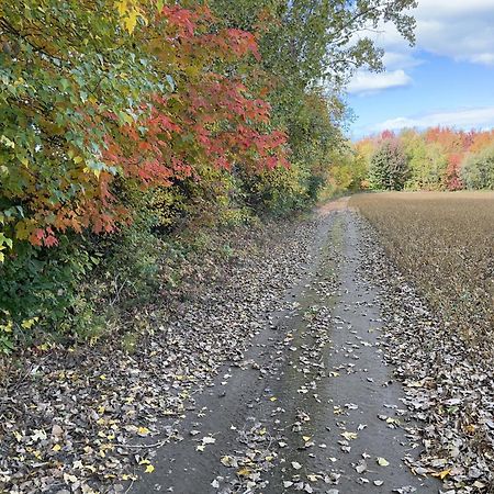 La Ruee Vers L'Orge Appartement Trois-Rivières Buitenkant foto