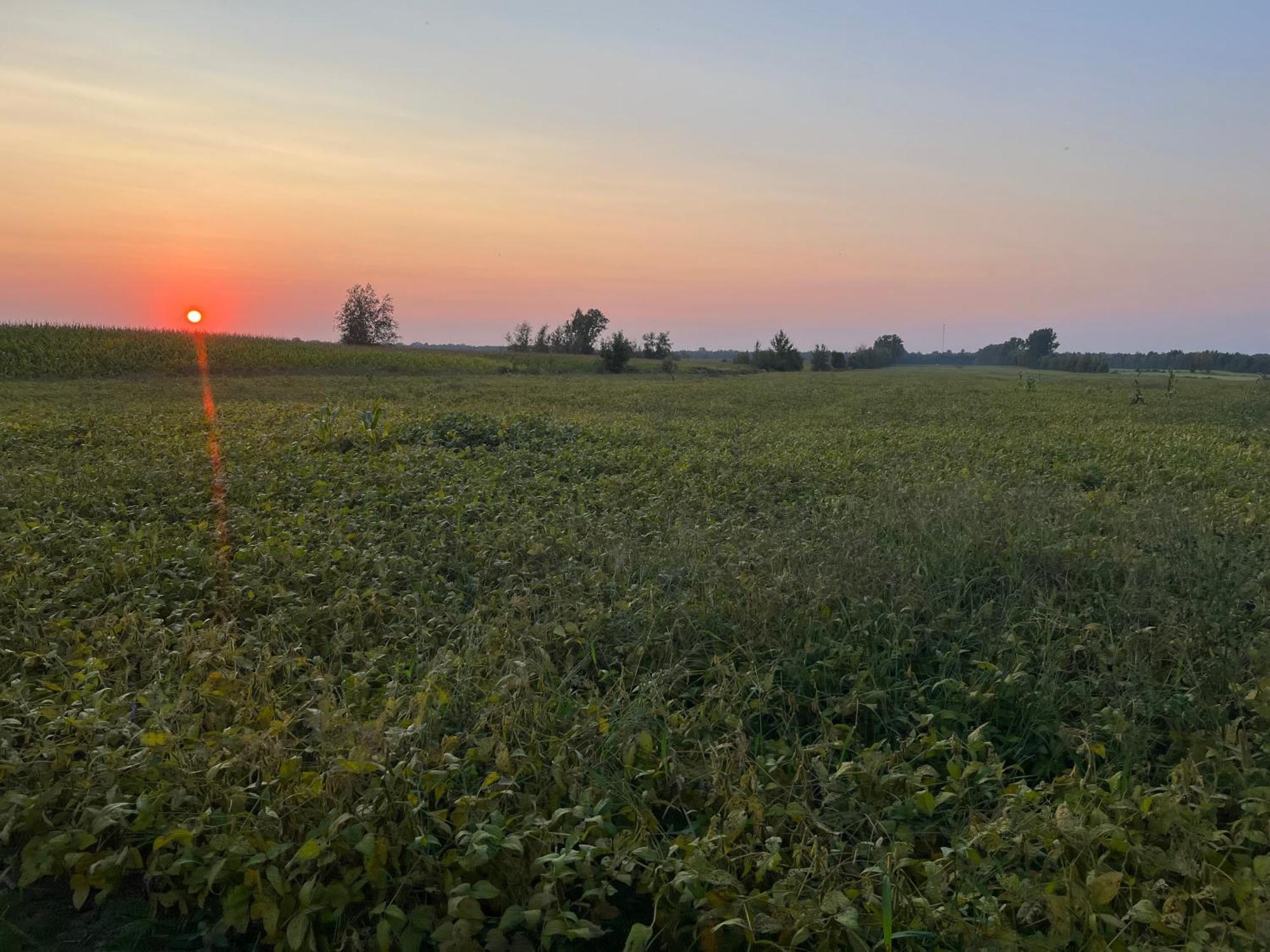 La Ruee Vers L'Orge Appartement Trois-Rivières Buitenkant foto