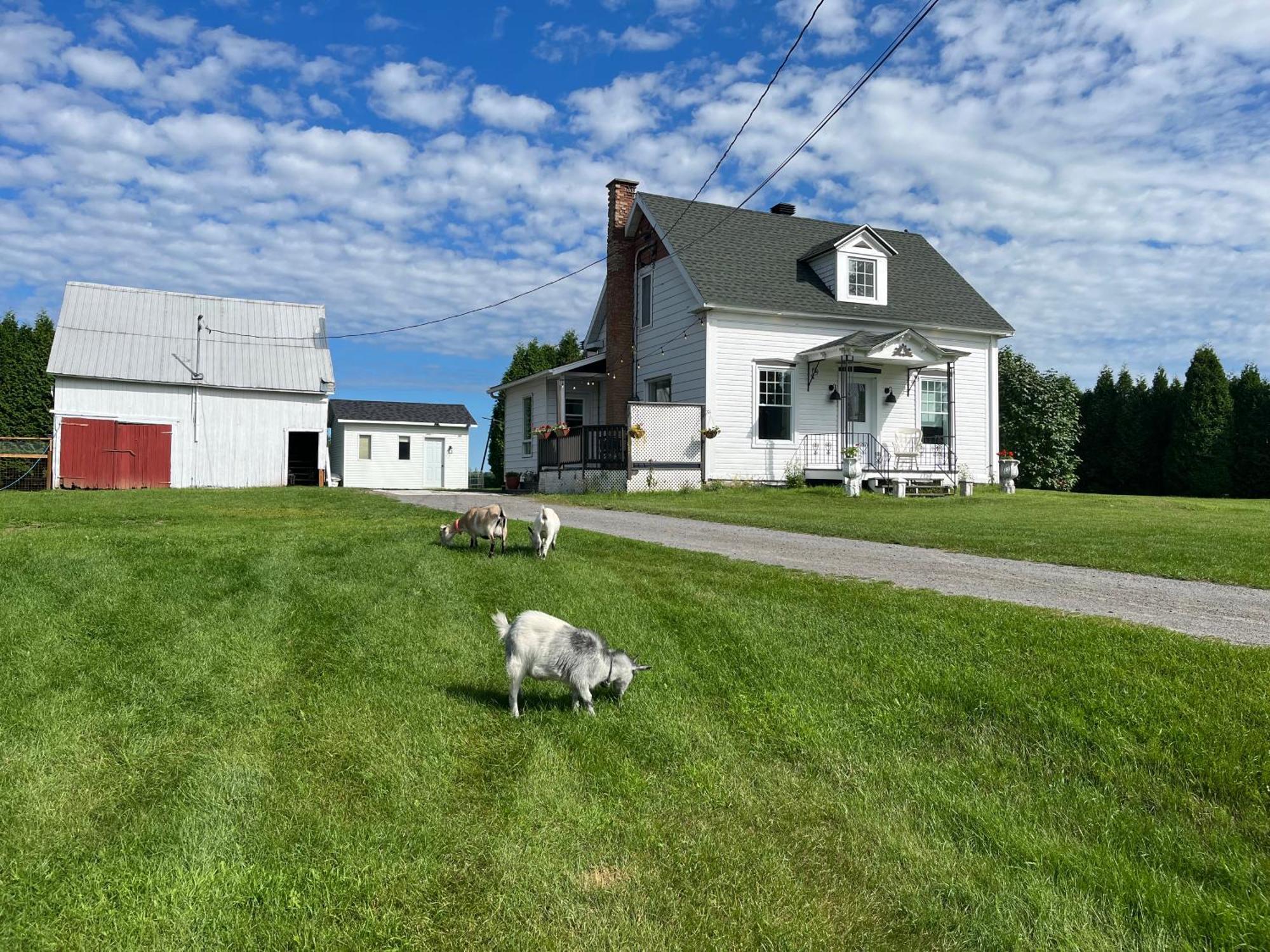 La Ruee Vers L'Orge Appartement Trois-Rivières Buitenkant foto